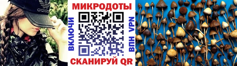 Псилоцибиновые грибы MAGIC MUSHROOMS  Волгореченск 